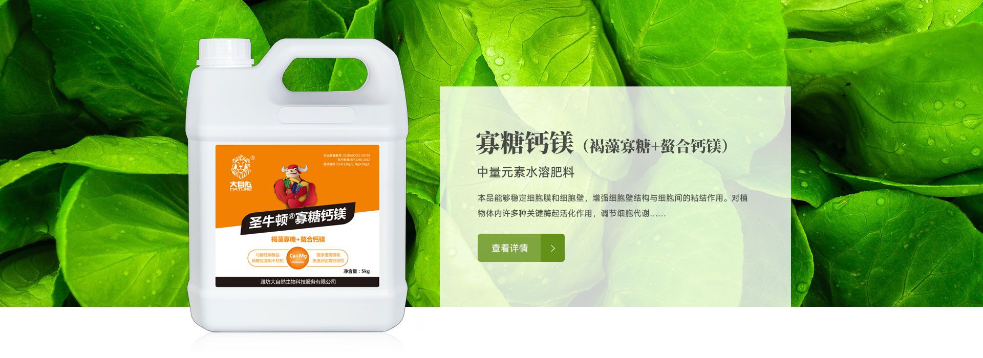 圣牛頓寡糖鈣鎂